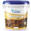 Sơn Lót Kháng Kiềm Nội Thất Cao Cấp M-01
